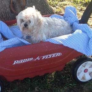 Meet your Posher, Mary